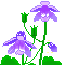 violetta gif