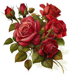 fiore di rosa gif