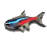 pesce neon gif