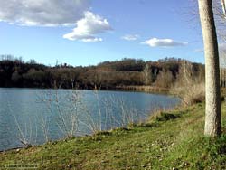 veduta di un'ansa dell'arno