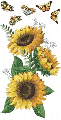 Girasoli e farfalle