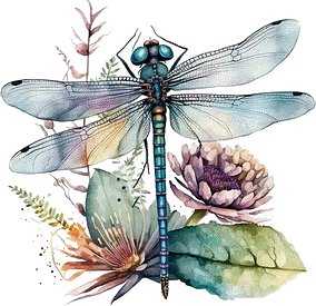 Libellula