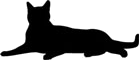 gatto nero gif