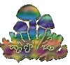 gruppo funghi gif