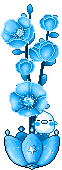 fiori-blu-1478.jpg
